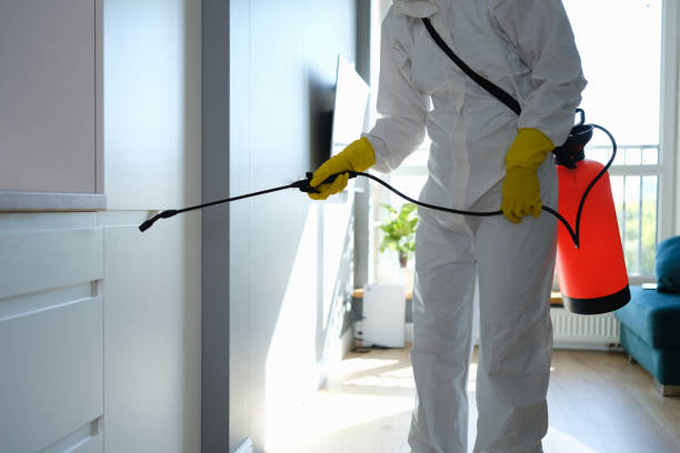 Why You Should Choose Our Mold Remediation Services in Morrison, IL